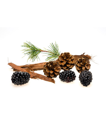 Blackberry + Cedarwood Fragrance Oil 