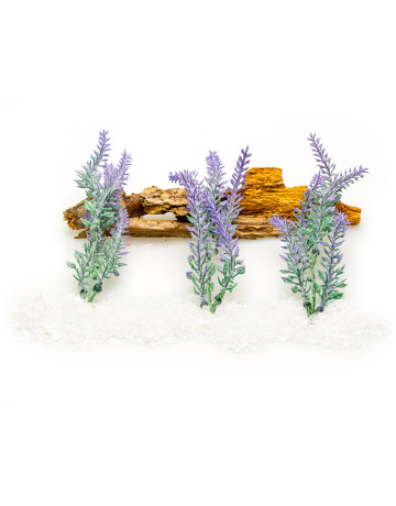 Heavenly Cedarwood + Salted Lavender Fragrance Oil 