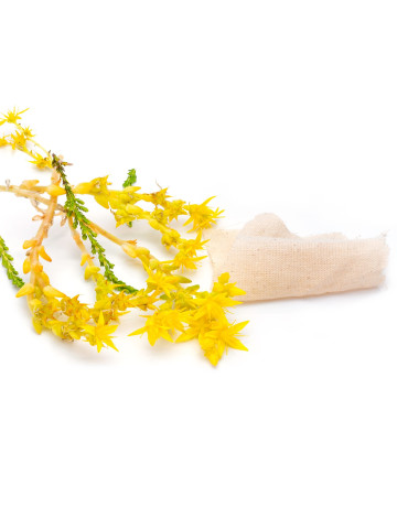 Egyptian Linen + Mimosa Blossom Fragrance Oil 