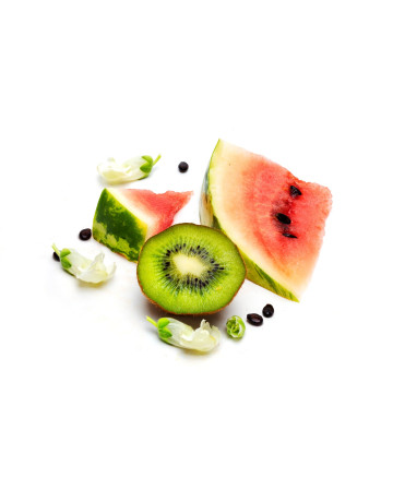 Watermelon Slice + Kiwi Fragrance Oil