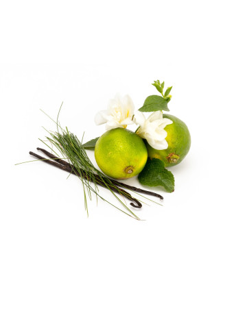 Indian Lemongrass + Lime Peel Fragrance Oil 